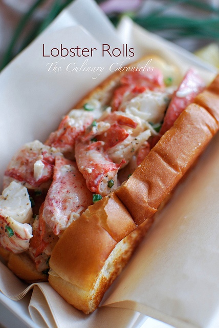 Lobster Rolls
